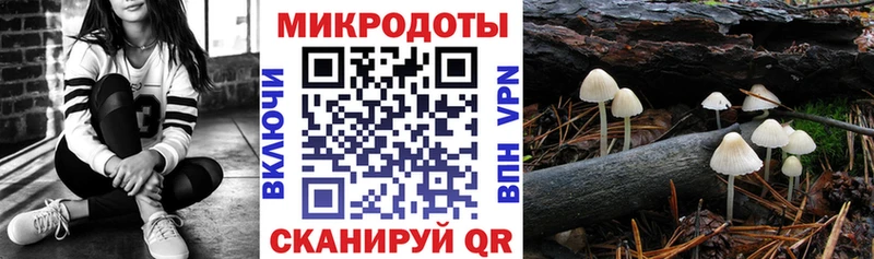 наркотики  Ухта  Псилоцибиновые грибы Magic Shrooms 